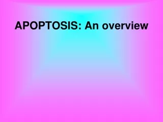 APOPTOSIS: An overview