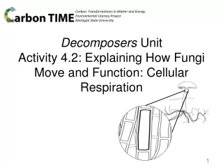 Decomposers  Unit Activity  4.2: Explaining How Fungi Move and Function: Cellular Respiration