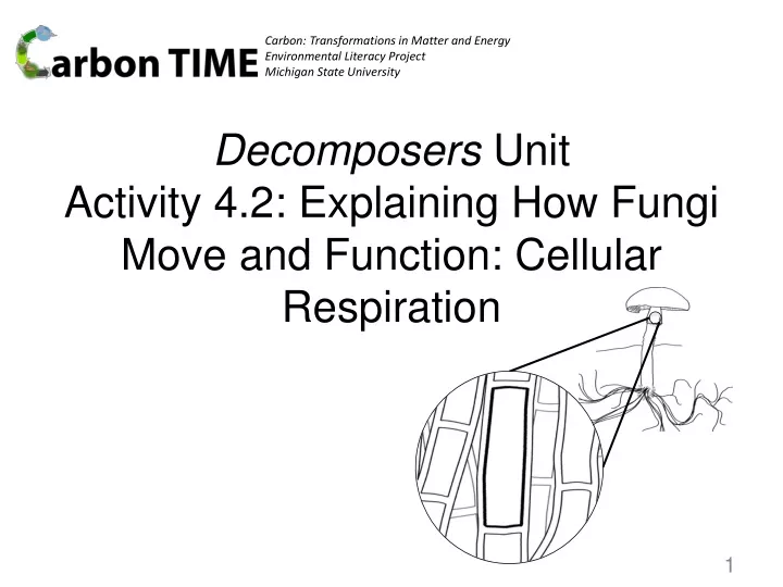 decomposers unit activity 4 2 explaining how fungi move and function cellular respiration