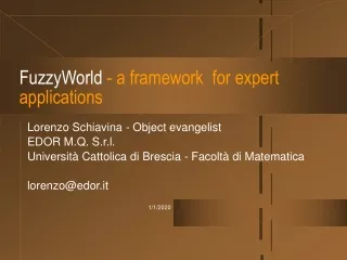 FuzzyWorld  - a framework  for expert applications