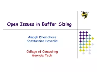 Open Issues in Buffer Sizing