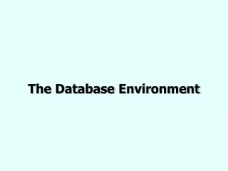 The Database Environment