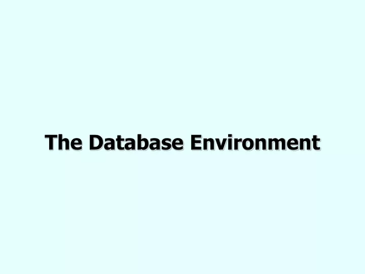 the database environment