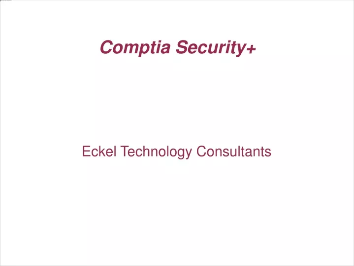 eckel technology consultants