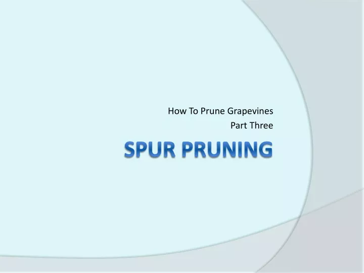 how to prune grapevines part three