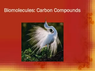 Biomolecules: Carbon Compounds
