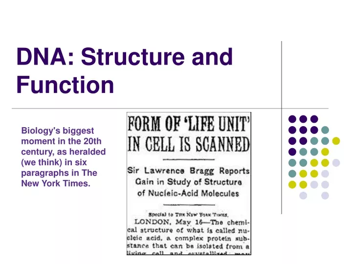 dna structure and function