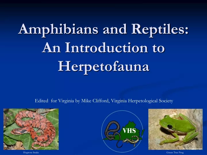 amphibians and reptiles an introduction to herpetofauna