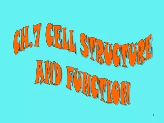 CH.7 CELL STRUCTURE AND FUNCTION