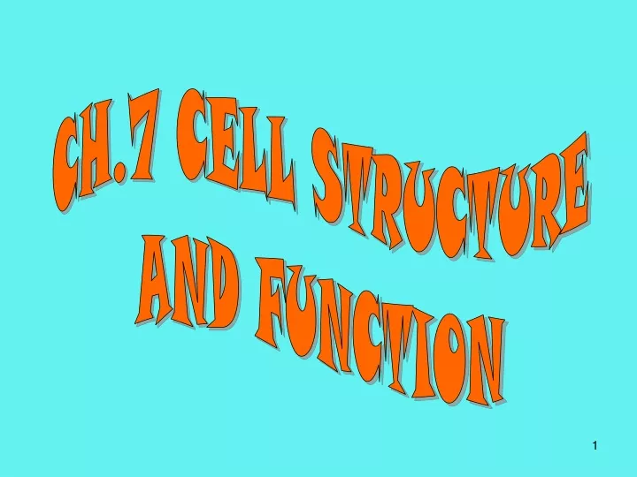 ch 7 cell structure and function