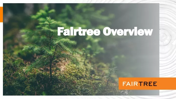 fairtree overview