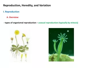 Reproduction, Heredity, and Variation I. Reproduction 	A. Overview:
