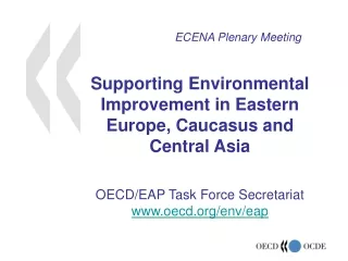ECENA Plenary Meeting
