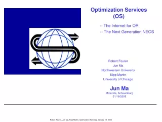 Optimization Services (OS)