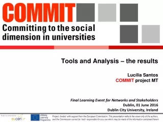 Tools and Analysis – the results Lucília Santos COMMIT  project MT