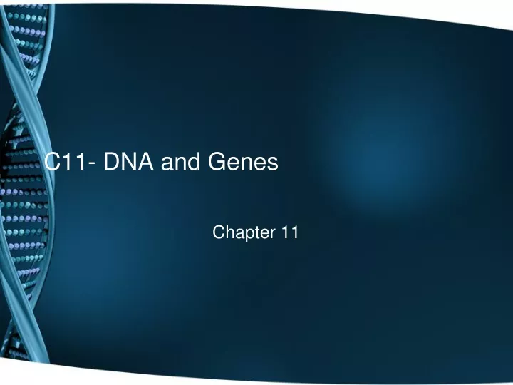 c11 dna and genes