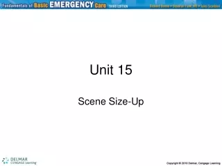 Unit 15