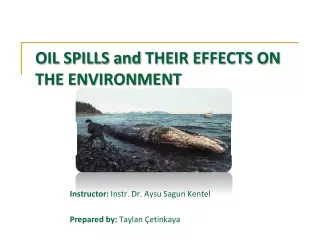 OIL SPILLS  and  THEIR EFFECTS ON THE ENVIRONMENT