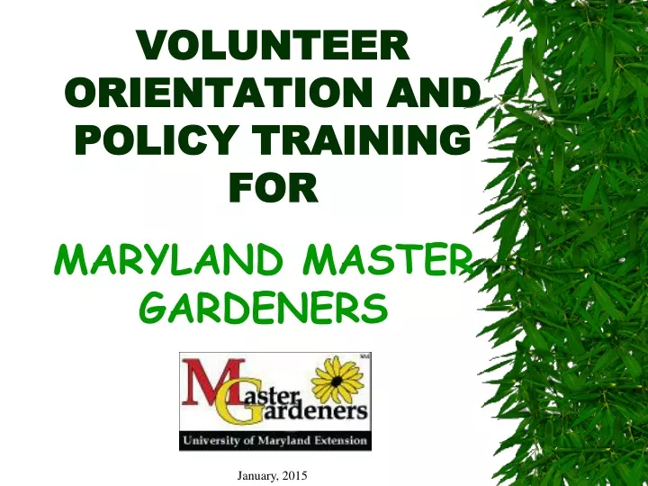 volunteer orientation and policy training for