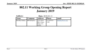 802.11 Working Group Opening Report January 2019