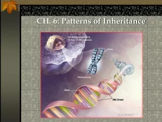 CH. 6: Patterns of Inheritance