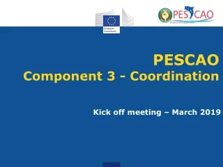 PESCAO  Component 3 - Coordination