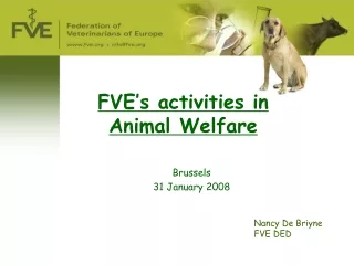 FVE’s activities in Animal Welfare