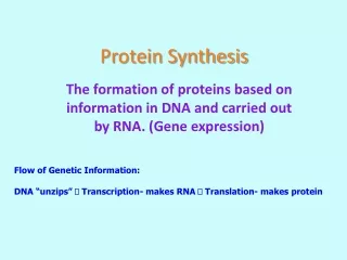 Protein Synthesis