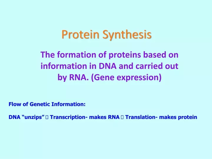 protein synthesis