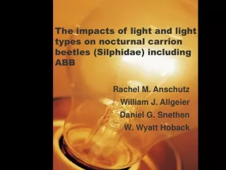 The impacts of light and light types on nocturnal carrion beetles (Silphidae) including ABB