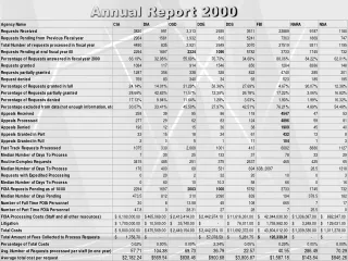 Annual Report 2000