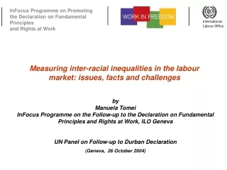 Measuring inter-racial inequalities in the labour market: issues, facts and challenges