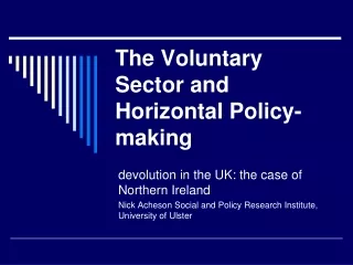 The Voluntary Sector and Horizontal Policy-making