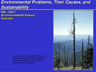 Environmental Problems, Their Causes, and Sustainability