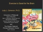 Exercise is Good for the Brain - slide 1