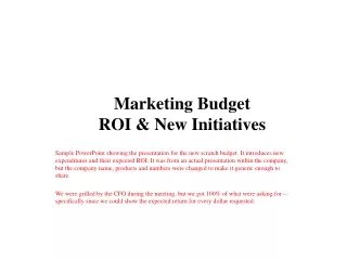 Marketing Budget ROI &amp; New Initiatives