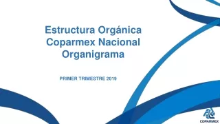Estructura Orgánica Coparmex Nacional Organigrama
