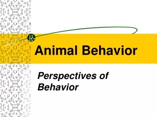 Animal Behavior