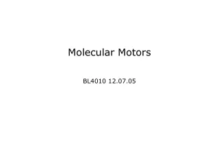 Molecular Motors