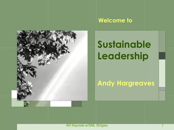 sustainable leadership