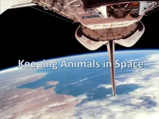 Keeping Animals in Space