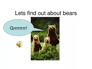 Lets find out about bears