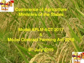 Agriculture Marketing – Need for Reforms &amp; Development