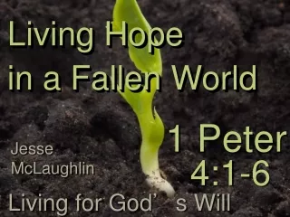 Living Hope  in a Fallen World