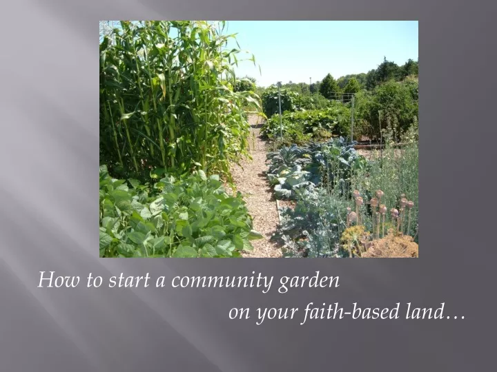 how to start a community garden on your faith