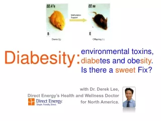 environmental toxins,  diabe tes and obe sity .   Is there a  sweet  Fix?
