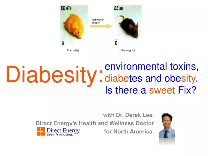 environmental toxins diabe tes and obe sity is there a sweet fix