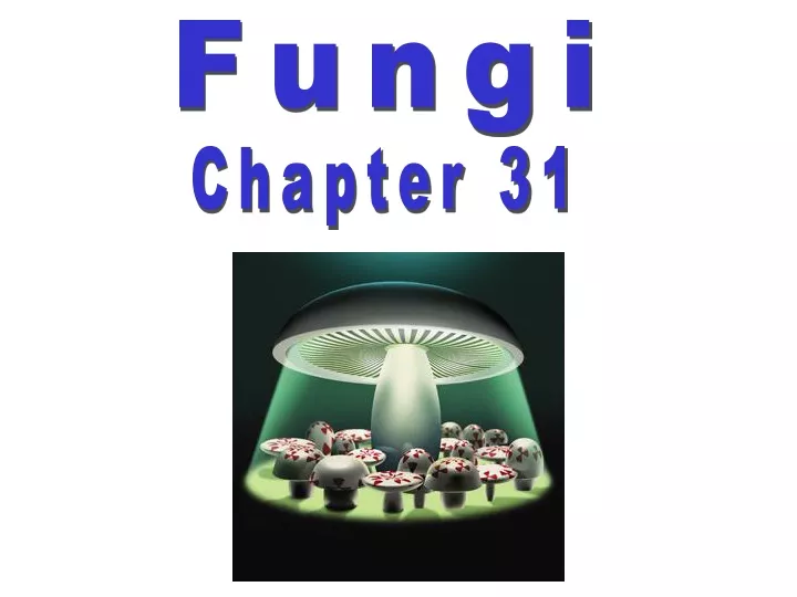 fungi