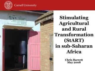 Stimulating Agricultural and Rural Transformation (StART) in sub-Saharan Africa