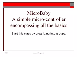 MicroBaby A simple micro-controller encompassing all the basics